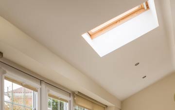 Ripe conservatory roof insulation companies